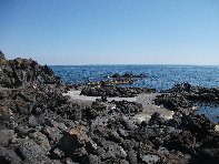 pomulini-20110311 236